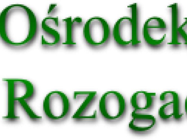 Szukają dyrektorów